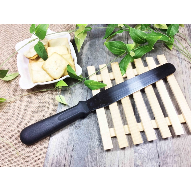 CS-100-1 考試用10"不鏽鋼抹平刀