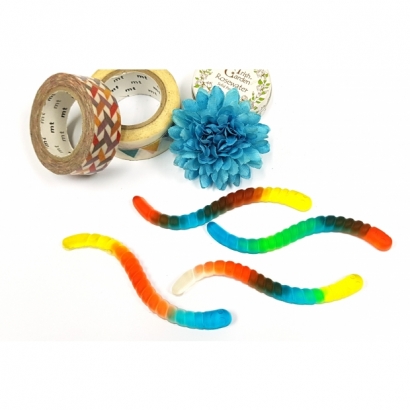 2054 32連海洋蚯蚓軟糖模