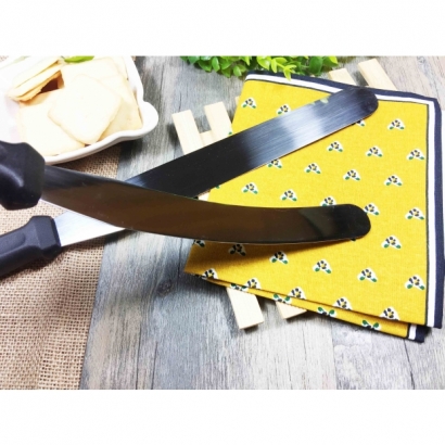 CS-100-1 考試用10"不鏽鋼抹平刀